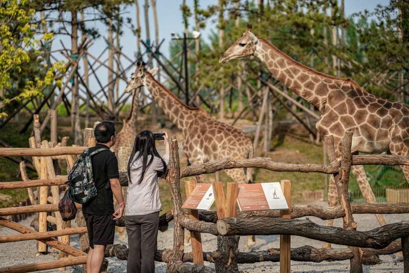 北戴河漁田小鎮七里海度假區-萬得瀾度假酒店&七里宿集民宿